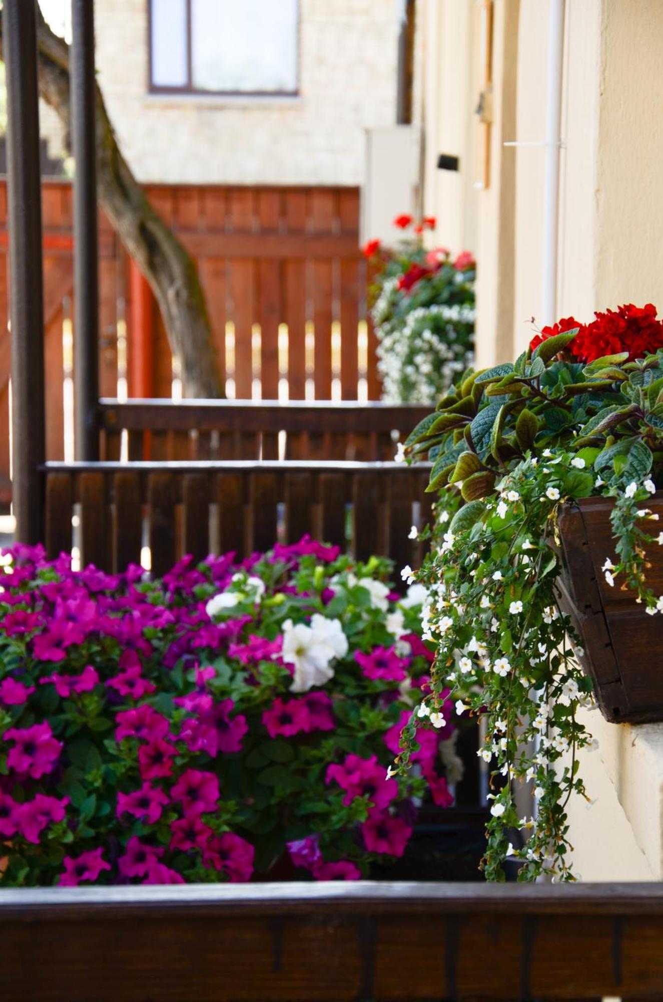 Veldzes Nams Hotel Ventspils Exterior photo